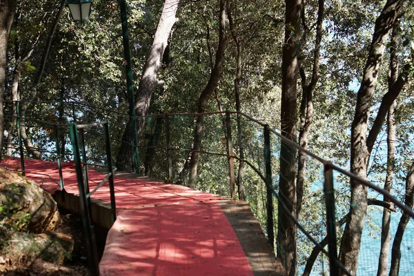 Roter Teppich in Portofino — Stockfoto