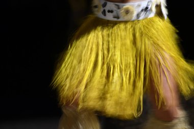 Polinezya dansçı hula hareket etkisi