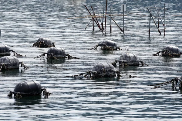 Ferme de Mussal en mer Méditerranée — Photo