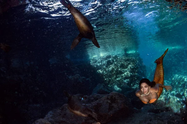 Sereia nadando debaixo d 'água no mar azul profundo com um selo — Fotografia de Stock