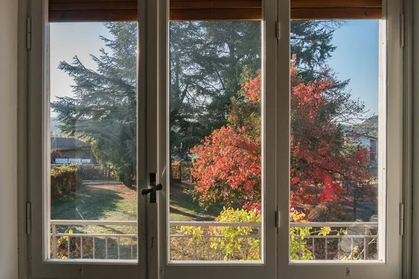 Árbol de hojas de otoño de ventana —  Fotos de Stock