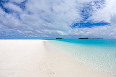 Hindistan cevizi ağacı Polinezyası plaj harika lagün
