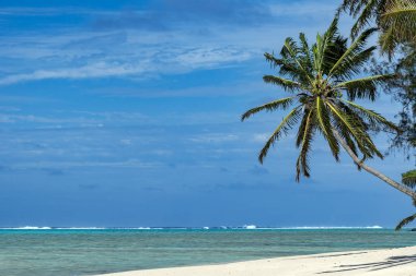 Muri beach Cook Adası Polinezyası tropik cennet