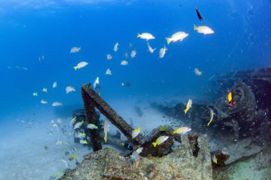 Gemi enkazı bali Endonezya Hint Okyanusu'nda