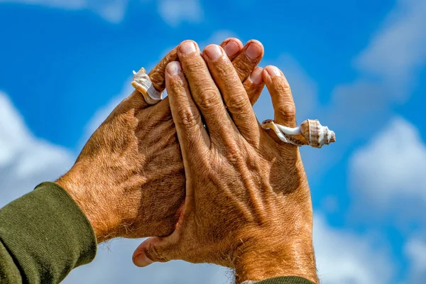 Mano con un guscio nel cielo — Foto Stock