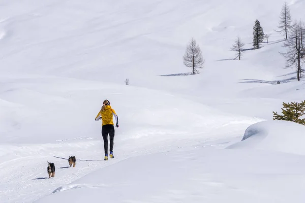 girl running with dogs on the snow