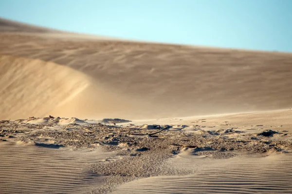 Beach sand dunes landscape view — Stock Photo, Image