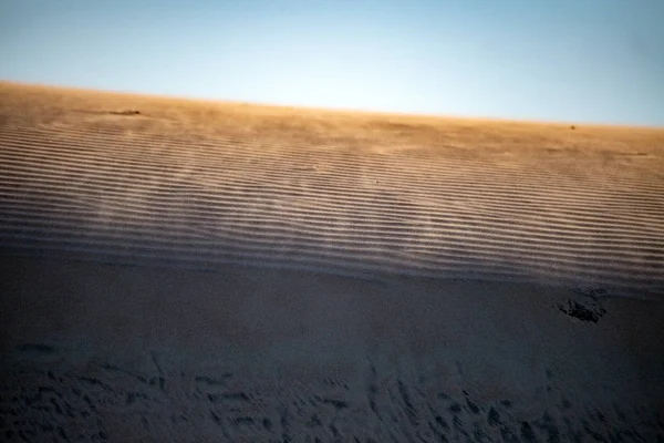 Beach sand dunes landscape view — Stock Photo, Image