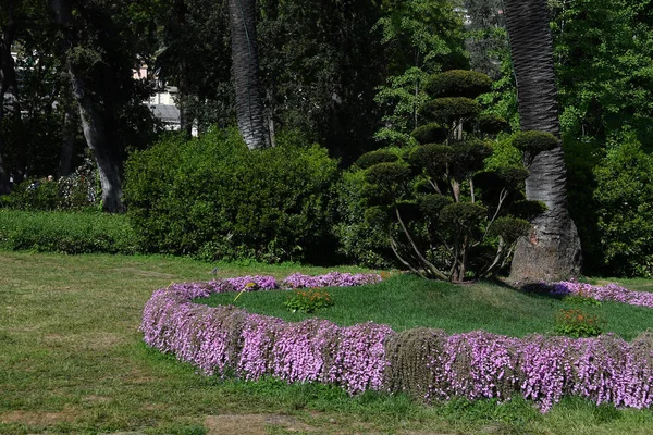 Genua, Włochy - 27 kwietnia 2017 - Euroflora powrót do Genui w unikalny scenariusz parki Nervi — Zdjęcie stockowe