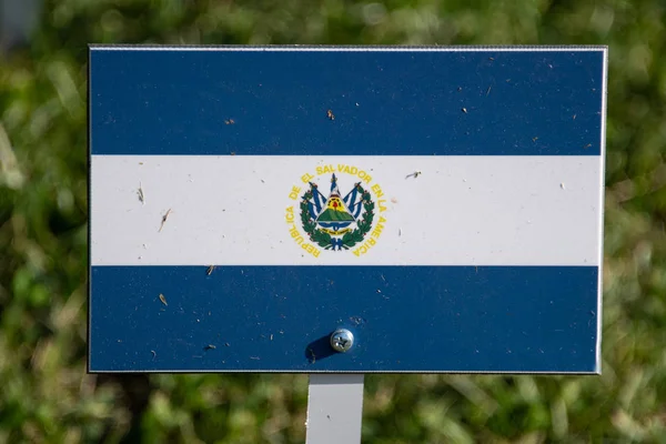 Yeşil çim izole el salvador bayrağı — Stok fotoğraf