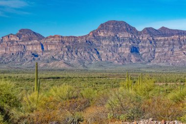 Mexico Baja California Sur panorama