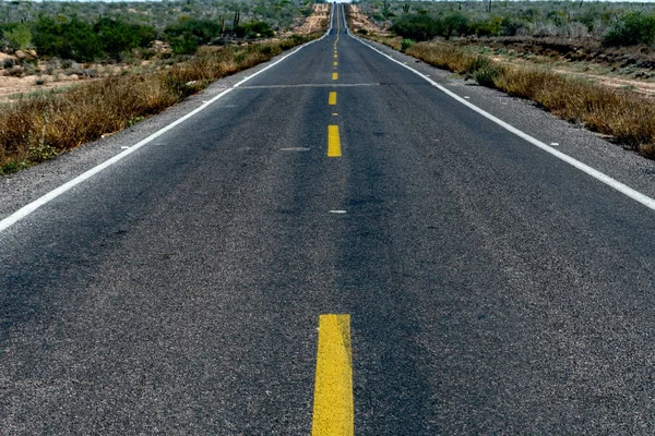 Baja california landscape endless straight panorama road — Stock Photo, Image