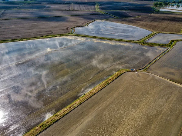 Cultivo Arroz Campos Inundação Cultivados Norte Itália Vista Aérea — Fotografia de Stock