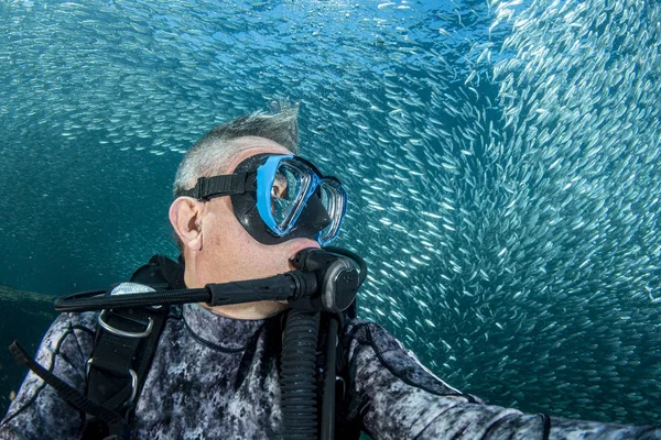Buceador selfie bajo el agua dentro de la bola de cebo sardinas —  Fotos de Stock