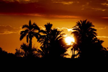Puerto San Carlos Baja California Sur Meksika gün doğumunda