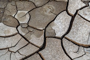 kuru kırık toprak detayı