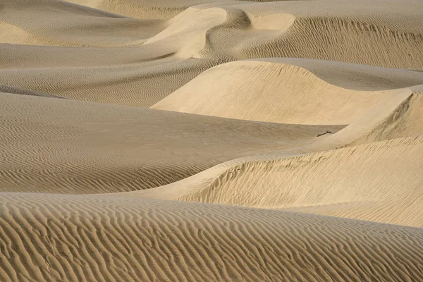 Dunas de arena del desierto al atardecer —  Fotos de Stock