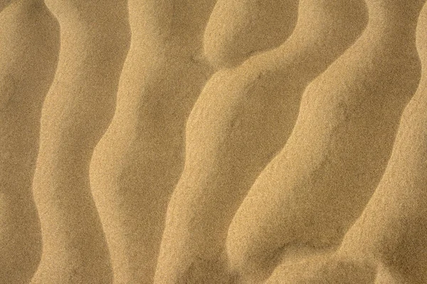 Woestijn zand duinen bij zonsondergang — Stockfoto