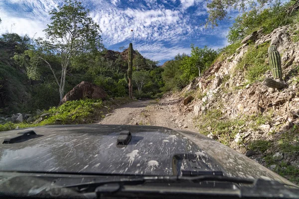 Baja California çölünde off-road sürücüsü — Stok fotoğraf