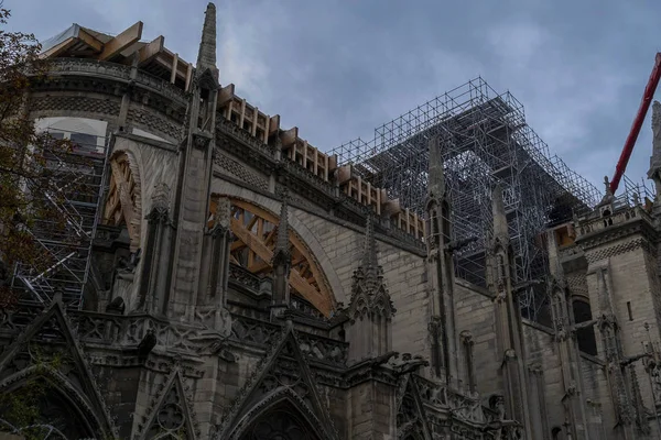 Notre dame paris w trakcie renowacji — Zdjęcie stockowe