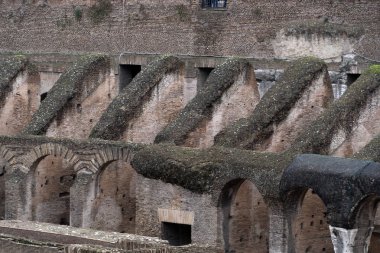 Roma 'da kolezyum detayı