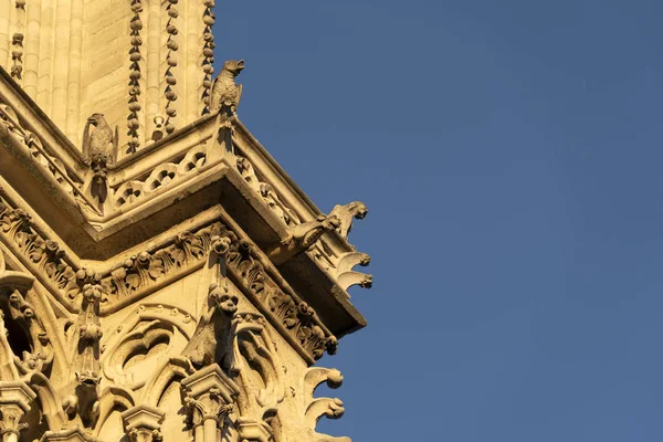 Notre dame Paris před spálením — Stock fotografie