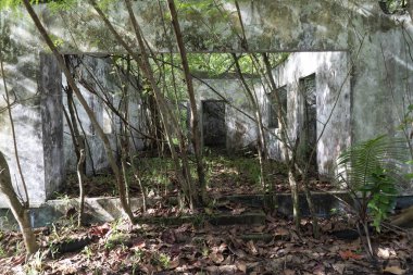 Tropikal ormanda terk edilmiş bir tatil yeri.