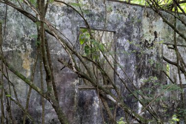 Tropikal ormanda terk edilmiş bir tatil yeri.