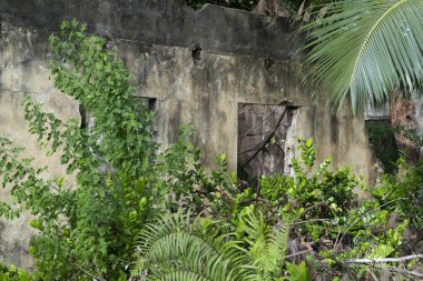 Tropikal ormanda terk edilmiş bir tatil yeri.