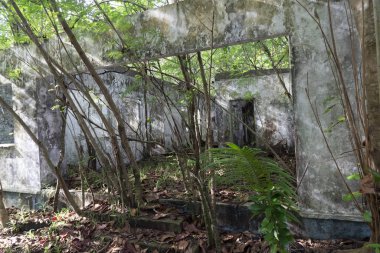 Tropikal ormanda terk edilmiş bir tatil yeri.