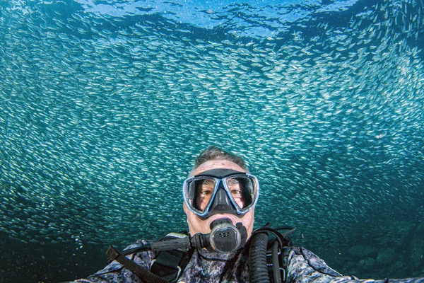 Taucher in Sardinen Köder Ball Fisch Hintergrund — Stockfoto