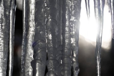 Buz sarkıtları ağaç dalları üzerinde donmuş buz