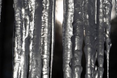 Buz sarkıtları ağaç dalları üzerinde donmuş buz