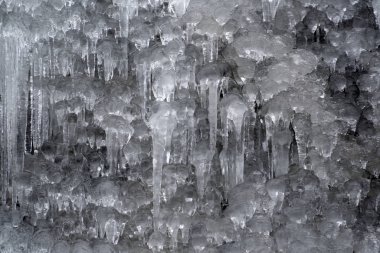 Buz sarkıtları ağaç dalları üzerinde donmuş buz