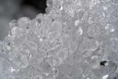 Buz sarkıtları ağaç dalları üzerinde donmuş buz