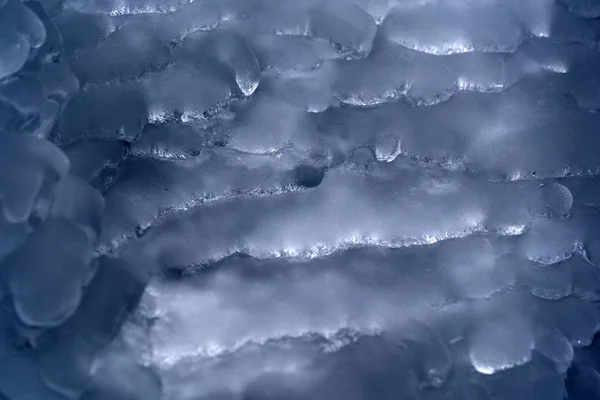 Glaçons glace gelée sur les branches d'arbres — Photo