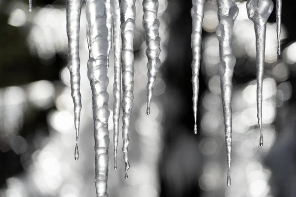 Carámbanos hielo congelado en ramas de árboles —  Fotos de Stock