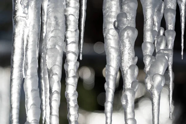 Eiszapfen auf Ästen — Stockfoto