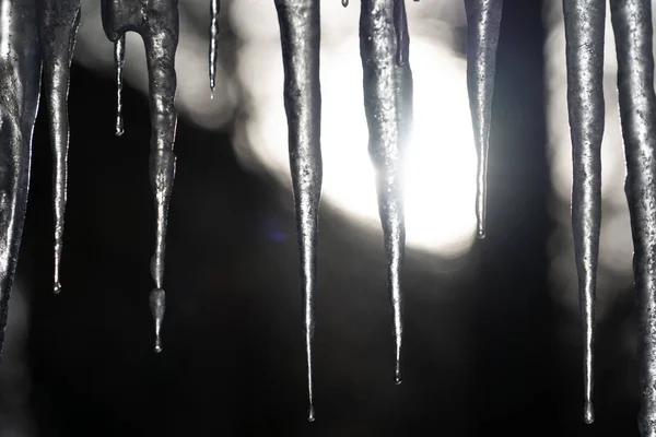 Icicles frozen ice on tree branches — Stock Photo, Image