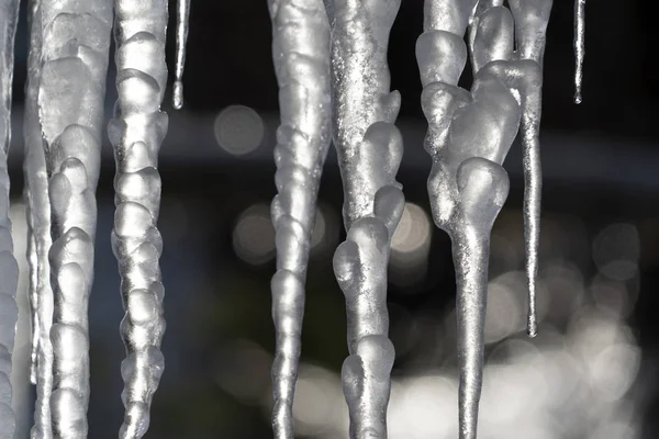 Carámbanos hielo congelado en ramas de árboles — Foto de Stock