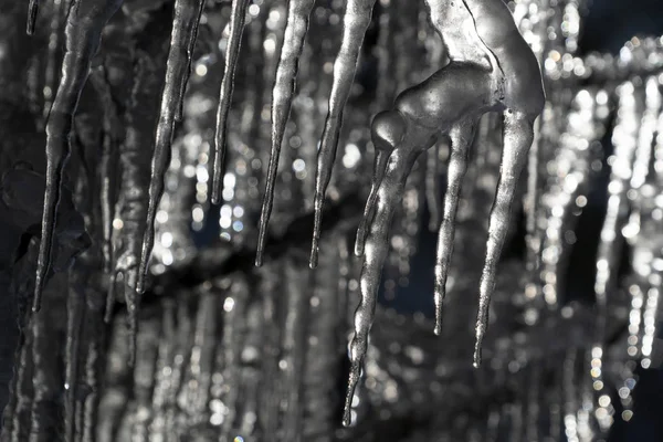 Jégcsapok fagyasztott jég faágakon — Stock Fotó