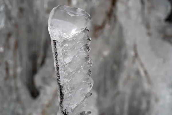 Παγωμένος πάγος σε κλαδιά δέντρων — Φωτογραφία Αρχείου