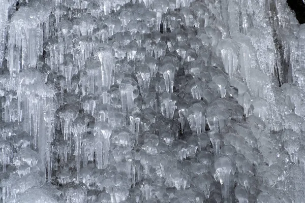 Eiszapfen auf Ästen — Stockfoto