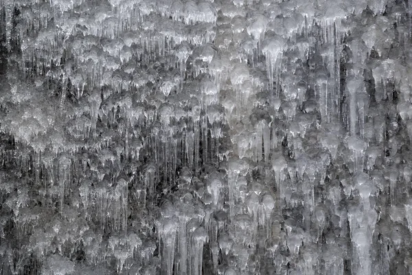 Eiszapfen auf Ästen — Stockfoto