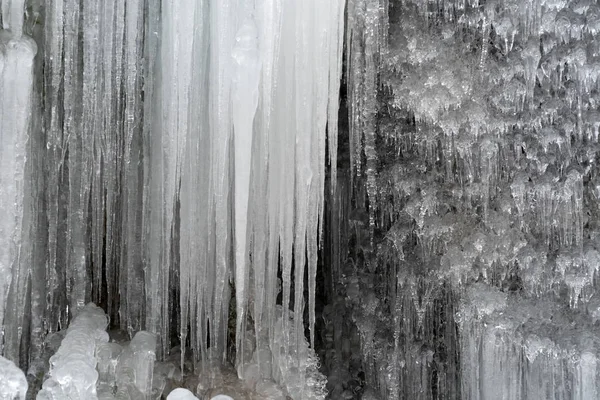 Gelo congelado em galhos de árvores — Fotografia de Stock