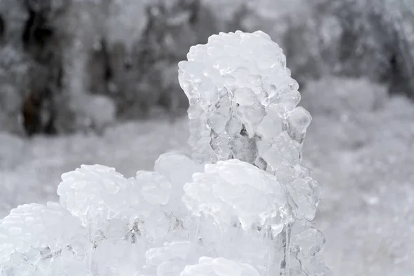 Buz sarkıtları ağaç dalları üzerinde donmuş buz — Stok fotoğraf