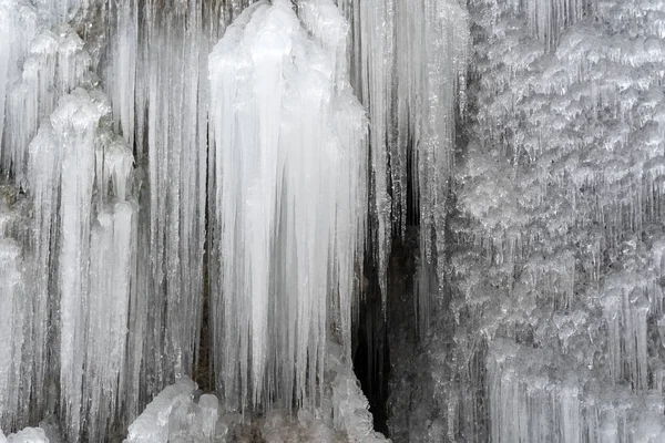 Istappar frusen is på trädgrenar — Stockfoto