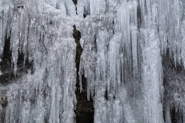 Glaçons glace gelée sur les branches d'arbres — Photo