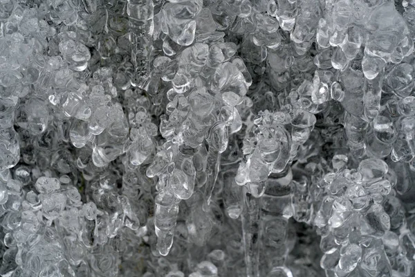 Ghiaccioli ghiaccio congelato sui rami degli alberi — Foto Stock