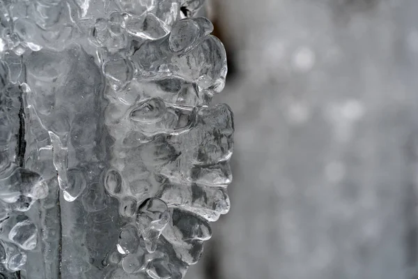 Бурульки заморожений лід на гілках дерев — стокове фото